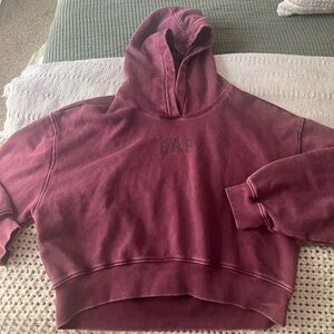 GAP VintageSoft Hoodie Tuscan Red